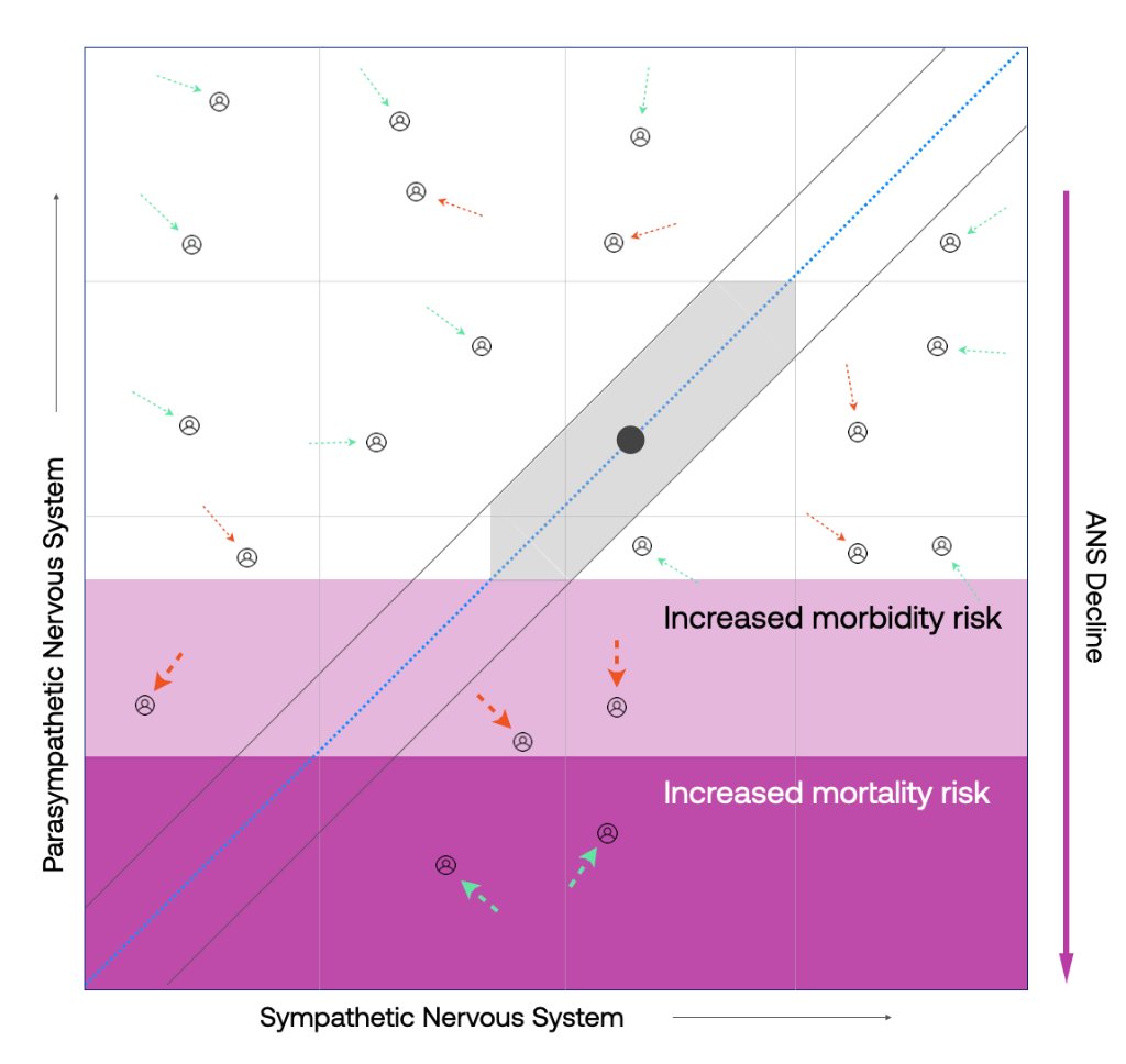 Scatter chart: a balanced autonomic nervous system sits on the diagonal; shifting regulation moves off the diagonal.
